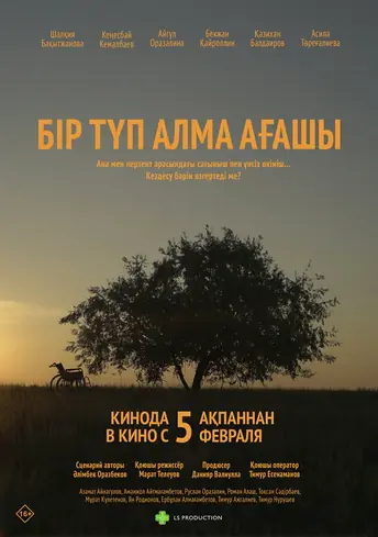 Постер фильма Бiр түп алма ағашы